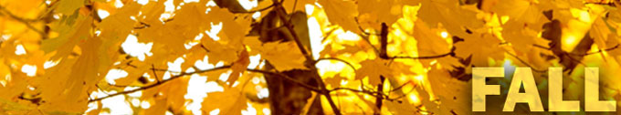 fall-banner