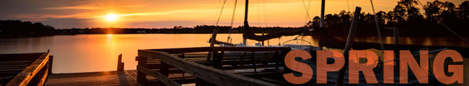 spring-banner